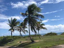 Un appartement à Anse des Rochers SAINT FRANCOIS (971)