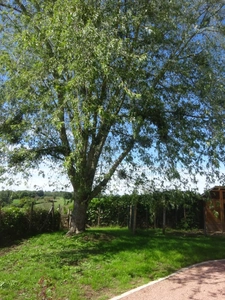 Maison à vendre 3 pièces SAINT AUBIN EN CHAROLLAIS (71)
