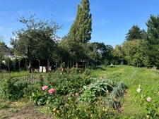 Maison rénovée avec dépendance – Avessac