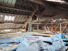 *EXCLUSIF* - PROPRIETE ATYPIQUE avec bâtiments, silo et logement