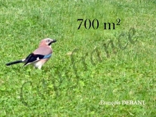 Terrain à vendre de 700,00 m² PONTFAVERGER MORONVILLIERS (51)