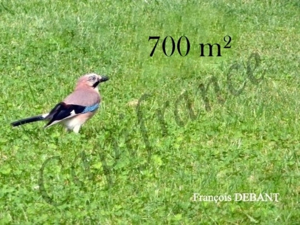 Terrain à vendre de 700,00 m² PONTFAVERGER MORONVILLIERS (51)