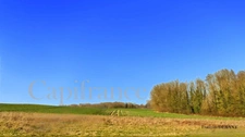 Terrain à vendre  VAUDESINCOURT (51)