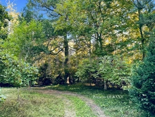 Terrain à vendre de 4 900,00 m² proche de REIMS (51)