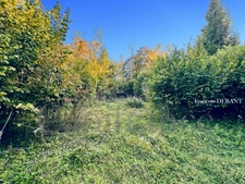 Terrain à vendre de 4 900,00 m² proche de REIMS (51)