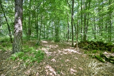 Terrain à bâtir de 2815 m² à AVEIZE (69)