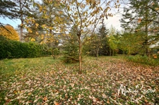 Terrain à vendre de 1 617 m² – JONAGE (69)