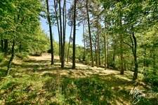 Terrain à bâtir de 2815 m² à AVEIZE (69)