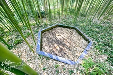 Discover the timeless elegance of this exceptional mansion. 