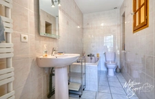 THURINS - Vast green property