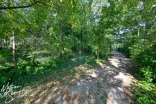 Discover the timeless elegance of this exceptional mansion. 