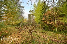 Terrain à vendre de 1 617 m² – JONAGE (69)