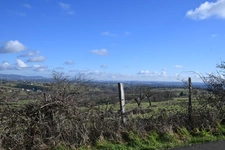 Un terrain verdoyant pour accueillir votre future maison