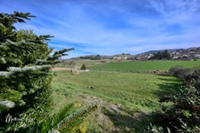 Maison P5 dans un environnement campagne à St Pierre la Palud
