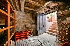 THURINS - Vast green property