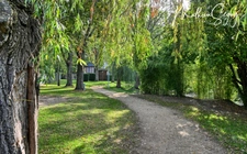 Terrain constructible de 1 200,00 m², dans un cadre calme et verdoyant 