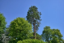 Appartement de 95.52m² 4 pièces avec extérieur de 13.31m² - SAINT GENIS LAVAL (69)