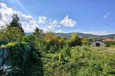 Un terrain verdoyant pour accueillir votre future maison