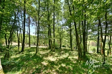 Terrain à bâtir de 2815 m² à AVEIZE (69)
