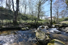 Ancien Moulin sur 1,3 Ha de terrain à MESSIMY (69)