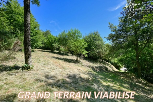 Terrain à fort potentiel à vendre de 1 500 m² constructibles à AVEIZE (69)