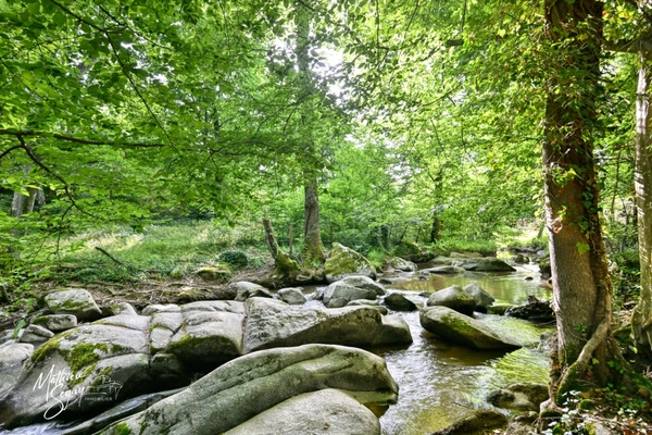 Ancien Moulin sur 1,3 Ha de terrain à MESSIMY (69)