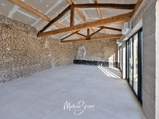 PROJET DE MAISON XL A FINIR DE REHABILITER à THURINS
