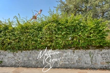 Craquez pour ce magnifique appartement – lumineux, élégant et plein de charme