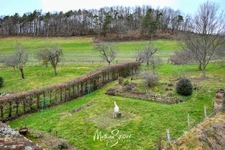 MAISON traditionnelle de charme en pierres à SAINT-MARTIN-EN-HAUT