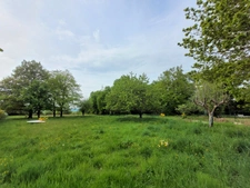 Maison de 153 m² avec 6038 m² de terrain arboré