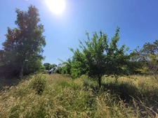 Jolie maison de 142 m² (120m² loi Carrez), couverture de la toiture neuve, avec terrasse couverte, ateliers et grange (couverture neuve) de 101 m² sur un terrain arboré et sans vis-à-vis de 2111 m².