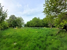 Maison de 153 m² avec 6038 m² de terrain arboré