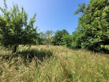 Jolie maison de 142 m² (120m² loi Carrez), couverture de la toiture neuve, avec terrasse couverte, ateliers et grange (couverture neuve) de 101 m² sur un terrain arboré et sans vis-à-vis de 2111 m².