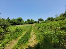 En exclusivité, maison de plain-pied de 80 m² sur terrain de 4986 m².
