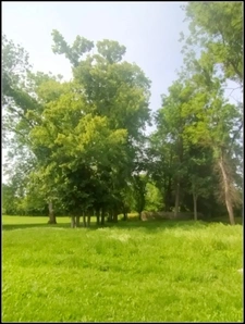 Propriété de 615 m² sur plus de 7000 m² de terrain