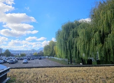 En exclusivité, à proximité immédiate du stade Marcel Michelin 