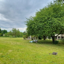 Maison familiale avec jardin de 4000m², à Saint Marcel (36)