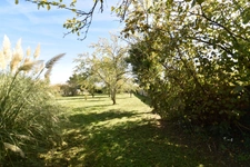 Ensemble de deux maison avec parc de 4000m², à Chaillac (36)