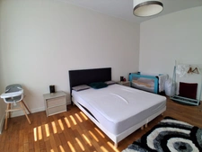 Maison de charme, dans son parc clos, 199m²