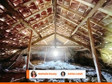 Maison plain pied 2 chambres - Grange - 7000m² terrain