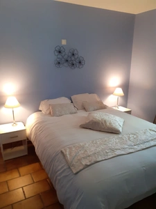 Maison à vendre 6 pièces 220m² AIGLUN (04)