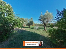 Ensemble immobilier de charme, 2 maisons, 240 m² habitables, terrain 2 400 m² avec piscine