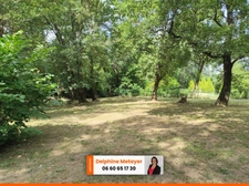 Villa de 136m2 avec 3 chambres, un bureau, et sa plage privée pour les amoureux de la nature.