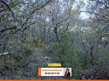 Terrain en zone naturelle de quasiment 2 hectares pour amoureux de la nature