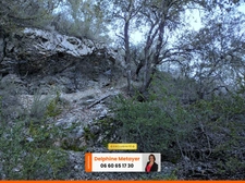 Terrain en zone naturelle de quasiment 2 hectares pour amoureux de la nature