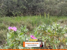?️ Terrain Naturel de 7 990 m² à Tavernes – Un Coin de Paradis en Provence Verte ?