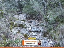 Terrain en zone naturelle de quasiment 2 hectares pour amoureux de la nature