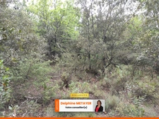 ?️ Terrain Naturel de 7 990 m² à Tavernes – Un Coin de Paradis en Provence Verte ?