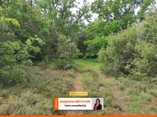 ?️ Terrain Naturel de 7 990 m² à Tavernes – Un Coin de Paradis en Provence Verte ?