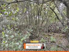 ?️ Terrain Naturel de 7 990 m² à Tavernes – Un Coin de Paradis en Provence Verte ?